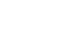 icon tv
